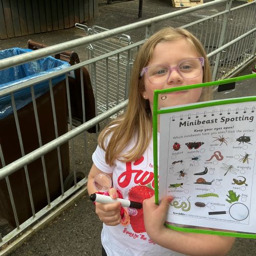 Minibeast Hunt 🐞🐛🦟