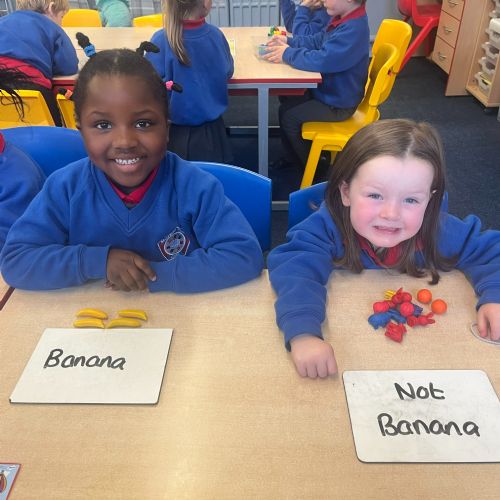 Initial Sorting Activities